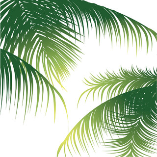 绿色热带植物装饰小清新免抠素材